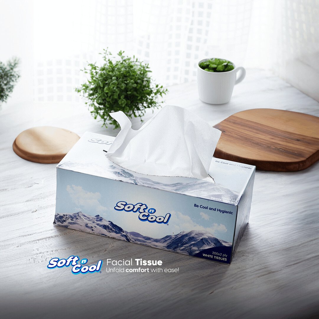 30 boxes Soft n Cool Facial Tissue 200 Sheets x 2 ply - hotpackwebstore.com - Facial Tissue