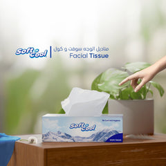 30 boxes Soft n Cool Facial Tissue 200 Sheets x 2 ply - hotpackwebstore.com - Facial Tissue