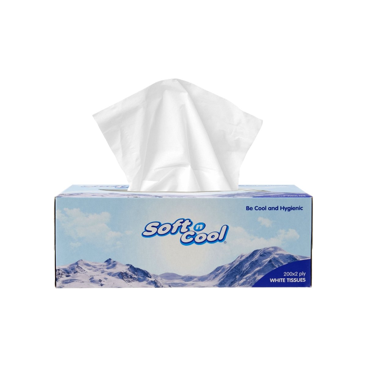 30 boxes Soft n Cool Facial Tissue 200 Sheets x 2 ply - hotpackwebstore.com - Facial Tissue