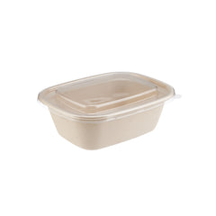 Bio-Degradable Rectangular Container