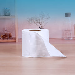 Soft n Cool Toilet Rolls 400 Sheets x 2 Ply 10 Rolls