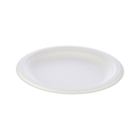 Biodegradable Paper Pulp Plate | 10 Pieces - hotpackwebstore.com - 