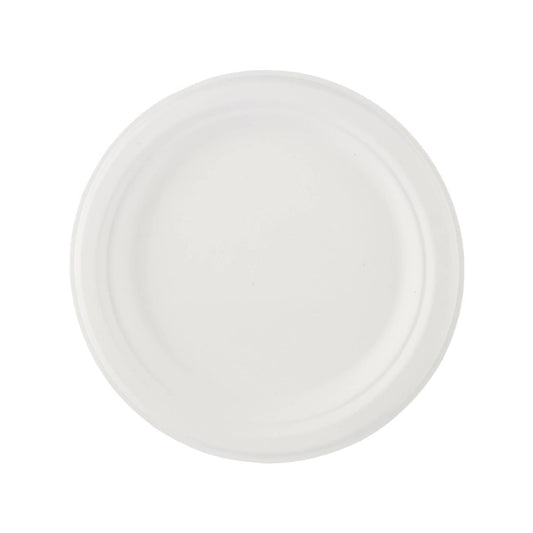 Biodegradable Paper Pulp Plate | 10 Pieces - hotpackwebstore.com - 