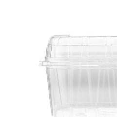 Clear PET Punnet Hinged Container - hotpackwebstore.com - Plastic Products