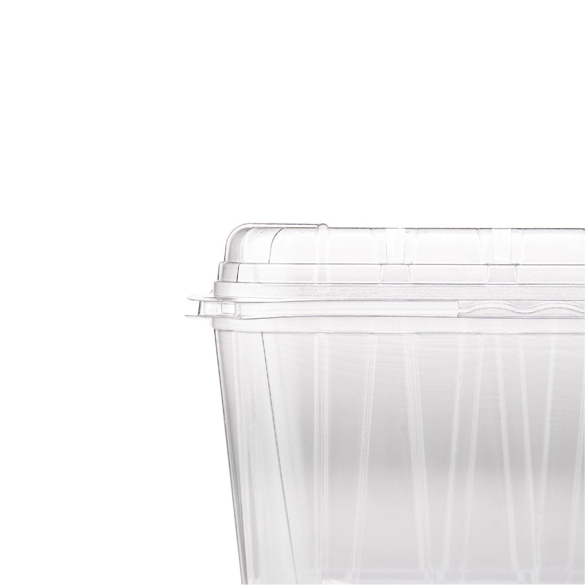 Clear PET Punnet Hinged Container - hotpackwebstore.com - Plastic Products