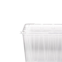 Clear PET Punnet Hinged Container - hotpackwebstore.com - Plastic Products