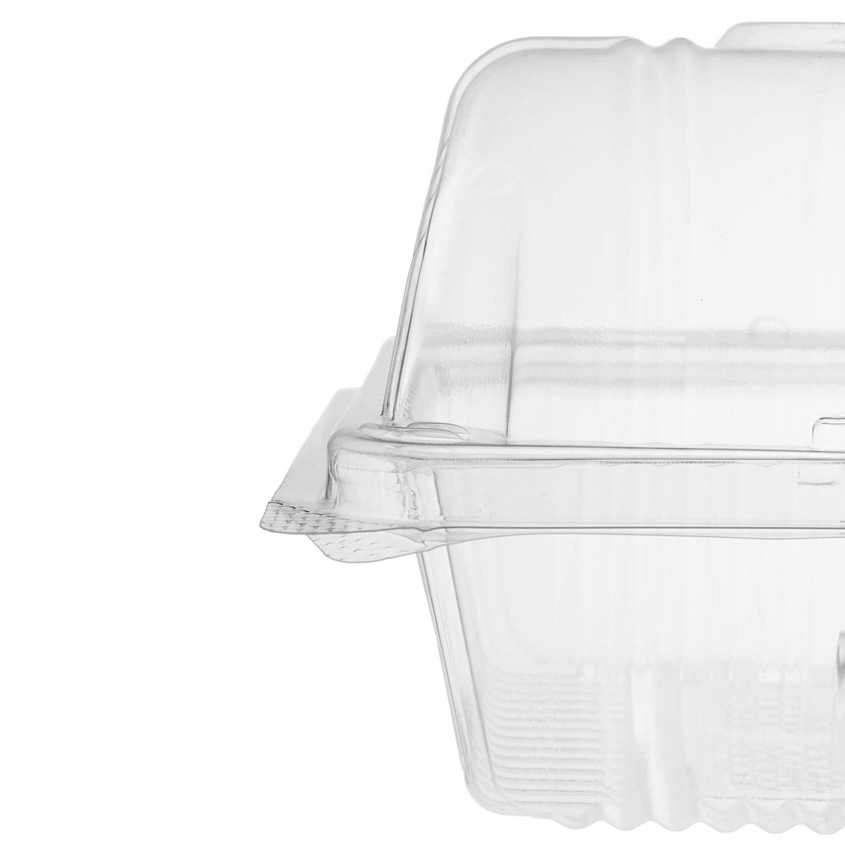 Clear Rectangle Hinged Container - hotpackwebstore.com - Hinged Containers