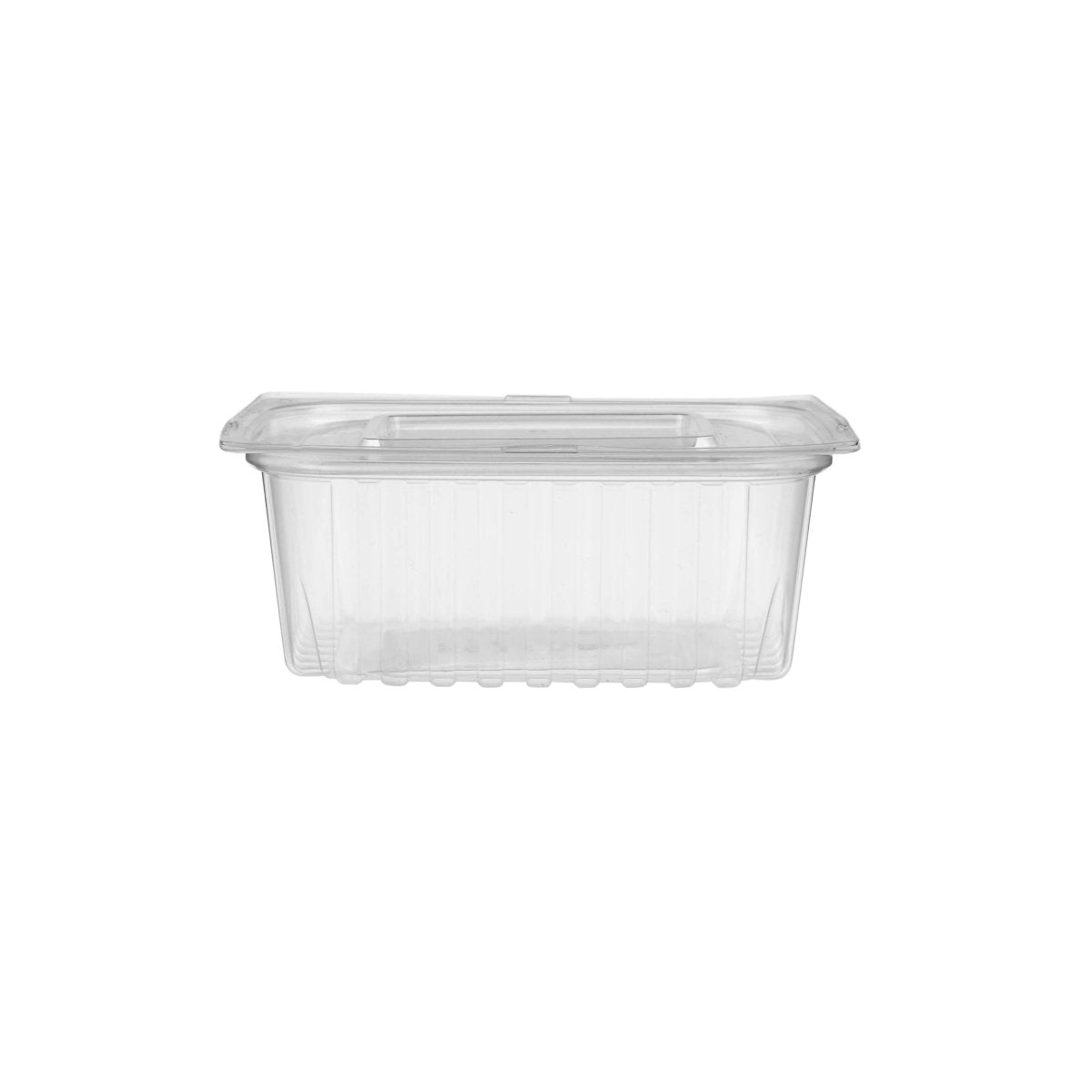 Clear Rectangular Container With Lid - hotpackwebstore.com - Rectangular Containers