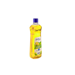 Dishwash Liquid - hotpackwebstore.com - Dishwash Liquids