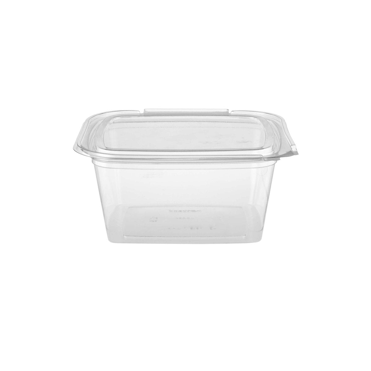 Hinged Square Deli Clear Pet Container - hotpackwebstore.com - Hinged Containers