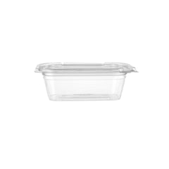 Hinged Square Deli Clear Pet Container - hotpackwebstore.com - Hinged Containers