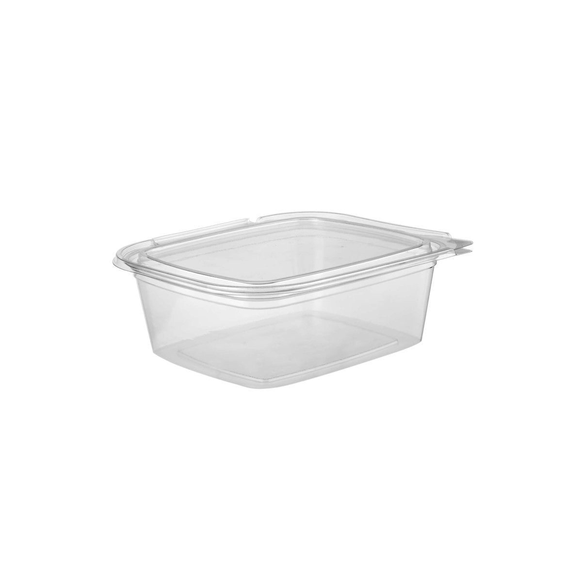 Hinged Square Deli Clear Pet Container - hotpackwebstore.com - Hinged Containers