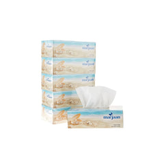 Marjaan Facial Tissue 150 x 2 Ply 30 Pieces - hotpackwebstore.com - Paper Products