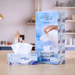 30 boxes Soft n Cool Facial Tissue 200 Sheets x 2 ply - hotpackwebstore.com - Facial Tissue