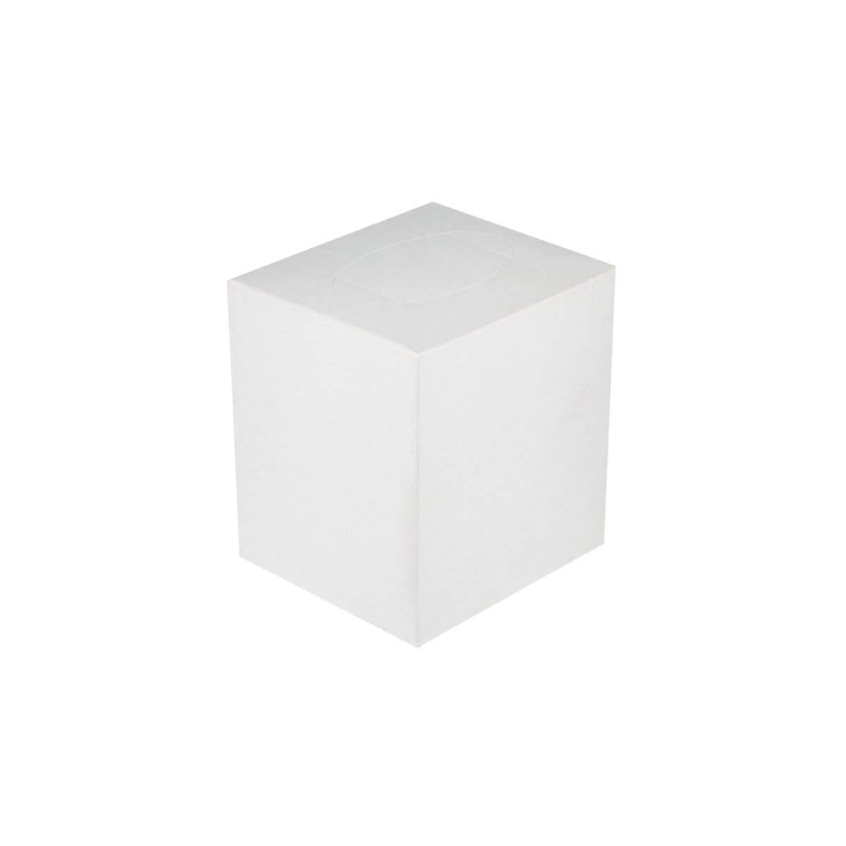 Square Boutique Facial Tissues - hotpackwebstore.com - Facial Tissue