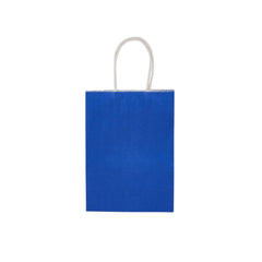 Blue Gift Paper Bag Twisted Handle - hotpackwebstore.com