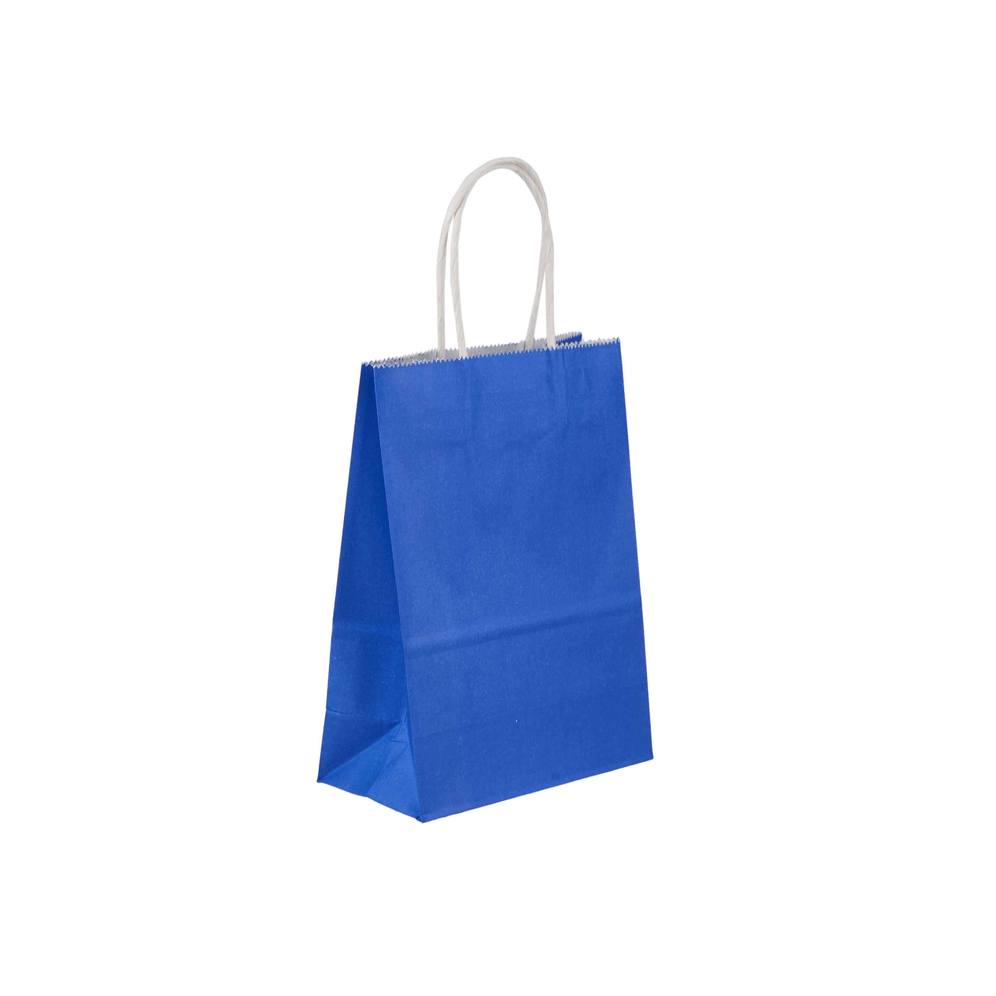 Blue Gift Paper Bag Twisted Handle - hotpackwebstore.com