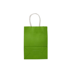 Green Gift Paper Bag Twisted Handle - hotpackwebstore.com