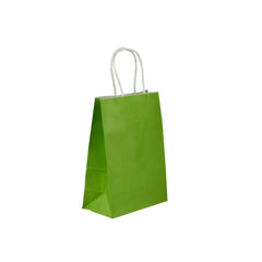 Green Gift Paper Bag Twisted Handle - hotpackwebstore.com