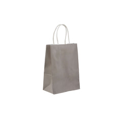 Grey Gift Paper Bag Twisted Handle - hotpackwebstore.com