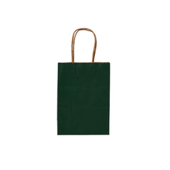 Green Gift Paper Bag Twisted Handle - hotpackwebstore.com